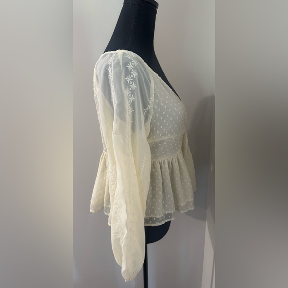 American Eagle Outfitter Swiss Dot Peplum V Neck Long Sleeve Blouse Cream Size M - Picture 4 of 7